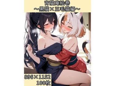 美しさが織り成す心の静けさ！宵猫庵絵巻 〜黒猫×三毛猫編〜