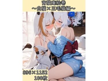 感動が心を満たす時間！宵猫庵絵巻 〜白猫×三毛猫編〜