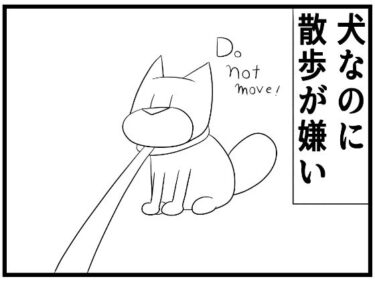 美しさに導かれた心の新たな道！4コマ「ギャップ」