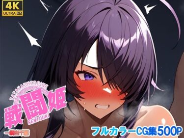 あなたを誘う魅惑の映像時間！戦闘姫〜せんとうき〜一騎〇千編