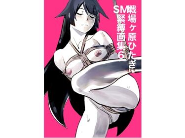 見る者の心を打つ美の瞬間！戦場ヶ原ひたぎSM緊縛画集6