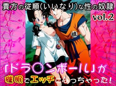 あなたの心を揺さぶる美しさの風！【同人CG集】ドラ○ンボール 2