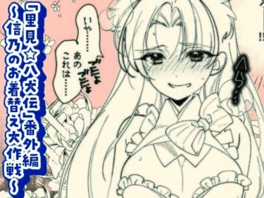 美しさが描く幻想的な光の波動！「里見☆八犬伝」番外編〜信乃のお着替え大作戦〜
