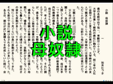 あなたの感覚を揺さぶる美しい波動！小説版  母奴●