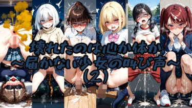 美しさが奏でる心のハーモニー！壊れたのは心か体か 〜届かない少女の叫び声〜 （2）