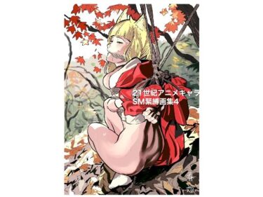 美しさが織り成す心の静けさ！21世紀アニメキャラSM緊縛画集4