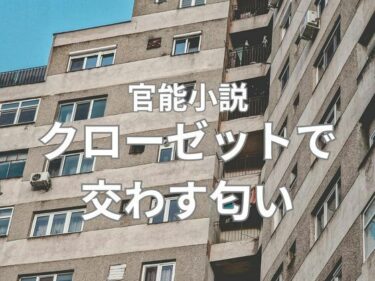 心に響く美しさの旋律！クローゼットで交わす匂い  前編