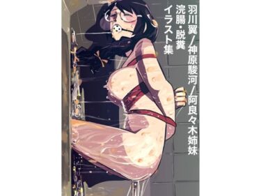 美しさが紡ぐ神秘的な力の物語！羽川翼/神原駿河/阿良々木姉妹  浣腸・脱糞  イラスト集